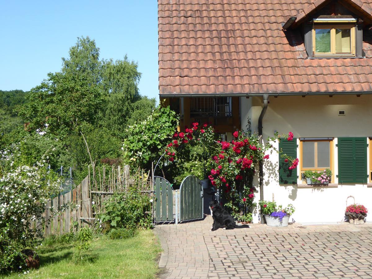 Ferienwohnung Waldblick Zweibrücken Exteriör bild